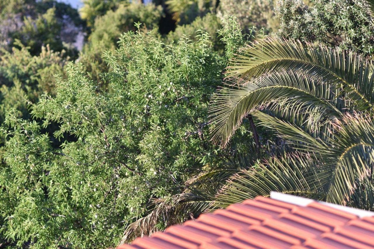 Gdinj Apartmani Marko מראה חיצוני תמונה
