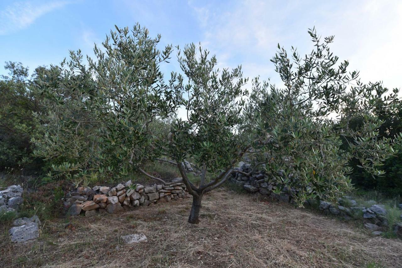Gdinj Apartmani Marko מראה חיצוני תמונה